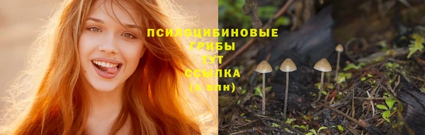 a pvp Верхний Тагил