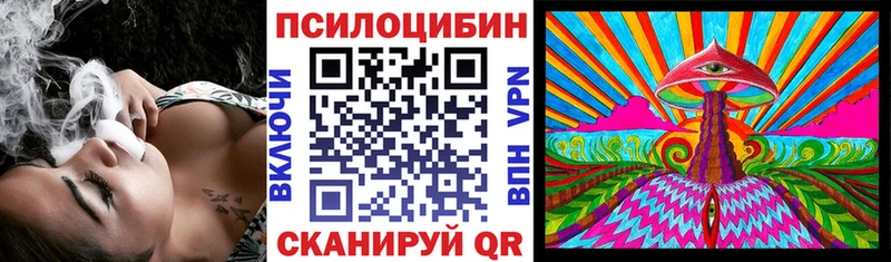 где купить   Воркута  Галлюциногенные грибы Psilocybine cubensis 