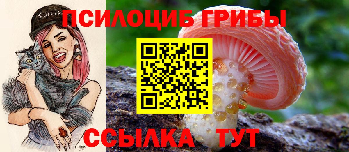 Воркута  Псилоцибиновые грибы ЛСД  Вход с VPN  Галлюциногенные грибы Psilocybe 